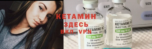 гидра Надым