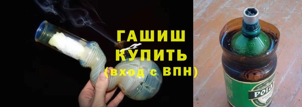 гидра Надым
