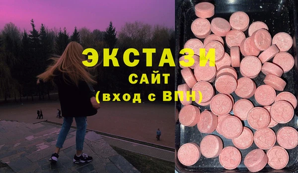 гидра Надым