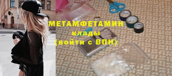 гидра Надым