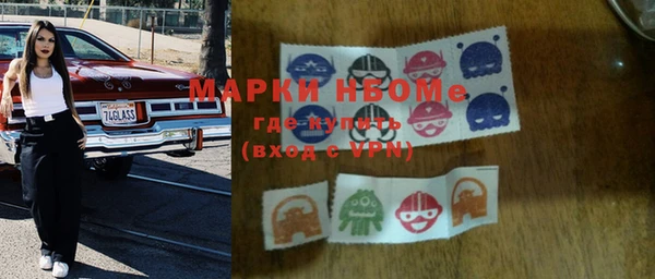 гидра Надым