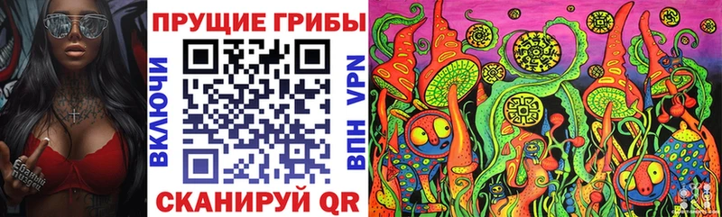 Купить где  Родники  Псилоцибиновые грибы Psilocybine cubensis 